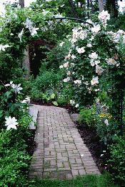 Garden Pathway