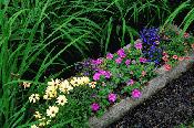 Vegetable Garden