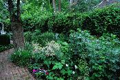 Shade Low Light Garden