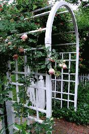 Vintage Trellis