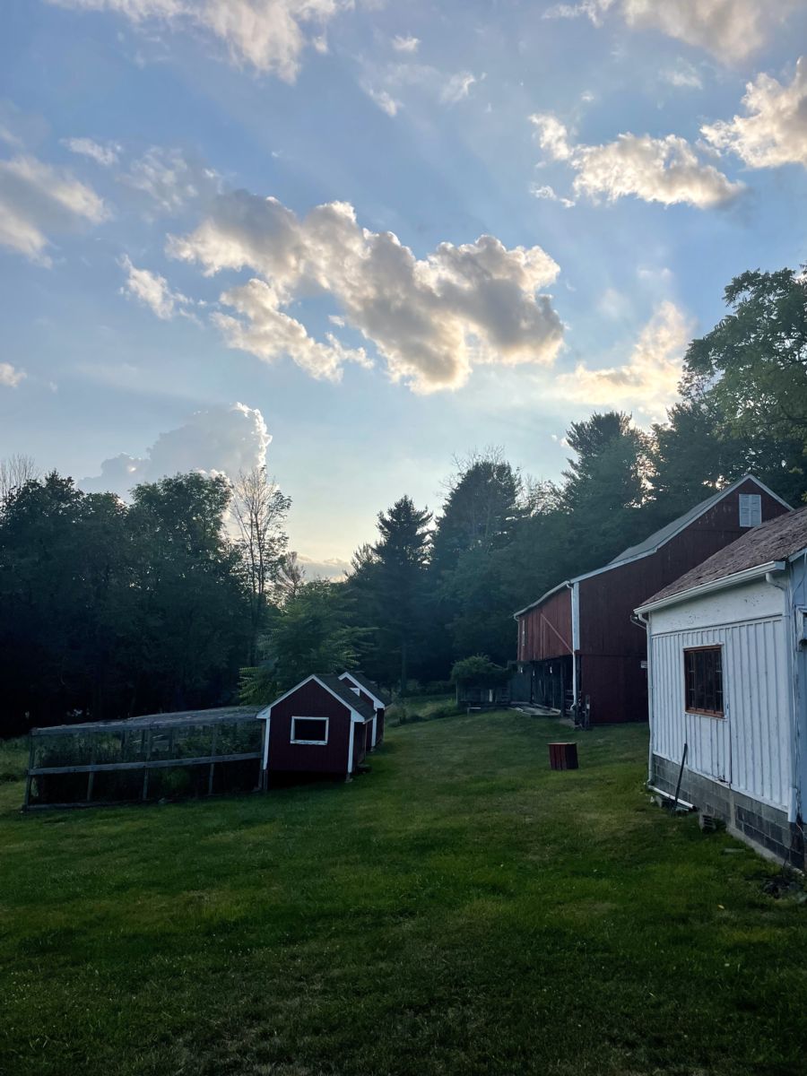 Back of the Scott Farm Barn (Cary Barn)