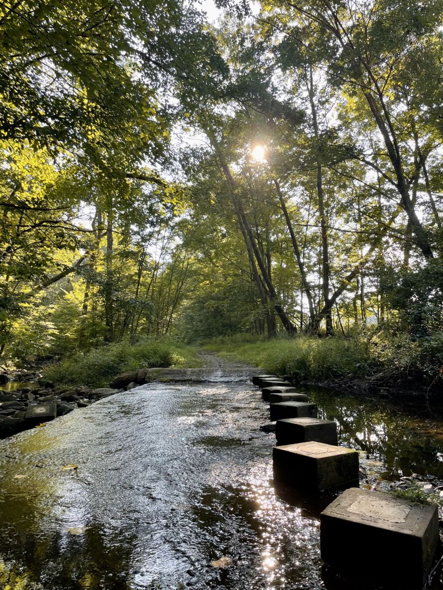 Patriots Path Stepping Stones