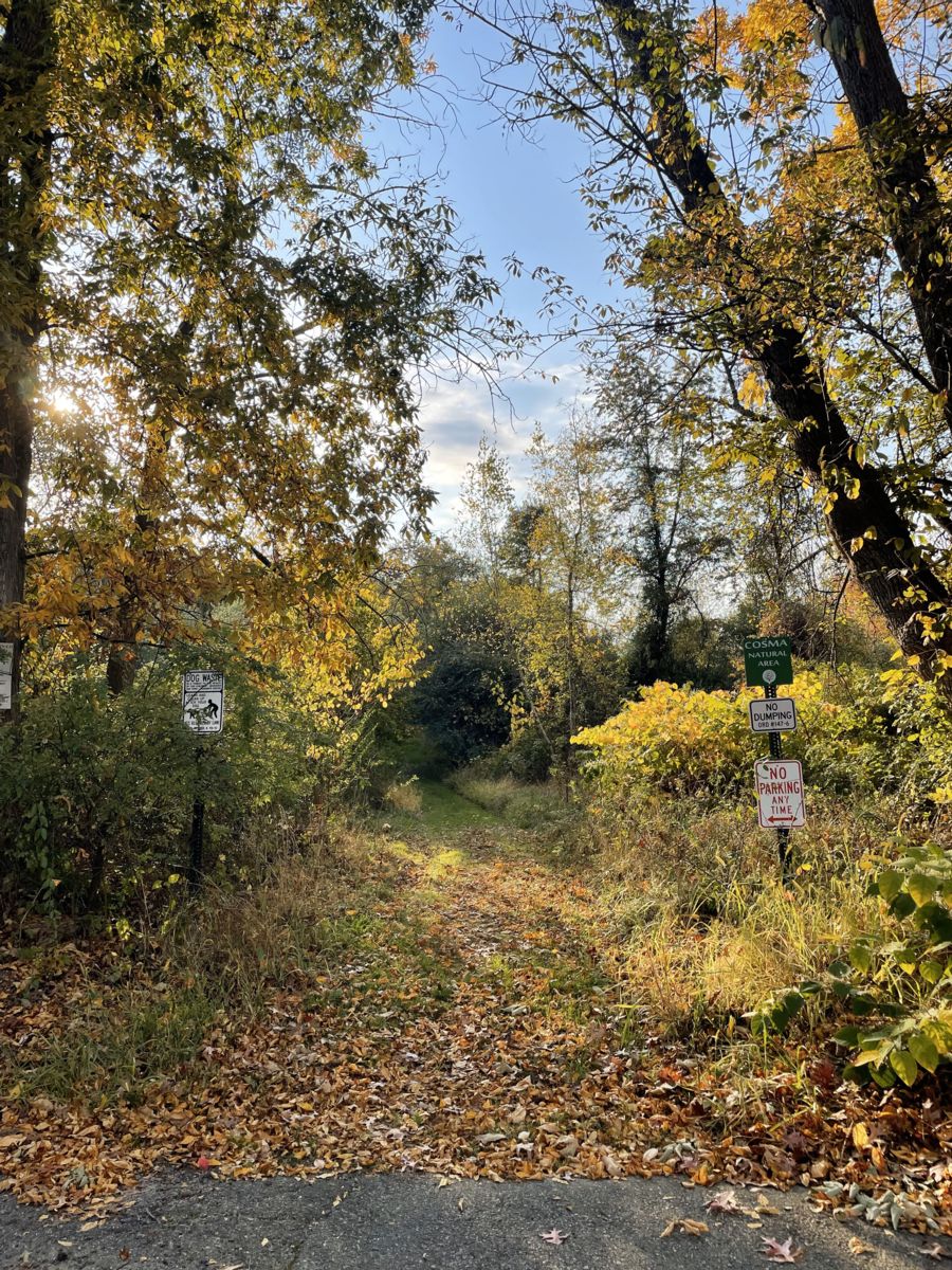 Cosma Nature Area Entrance