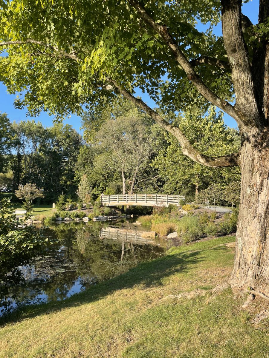 Mud Hole Bridge