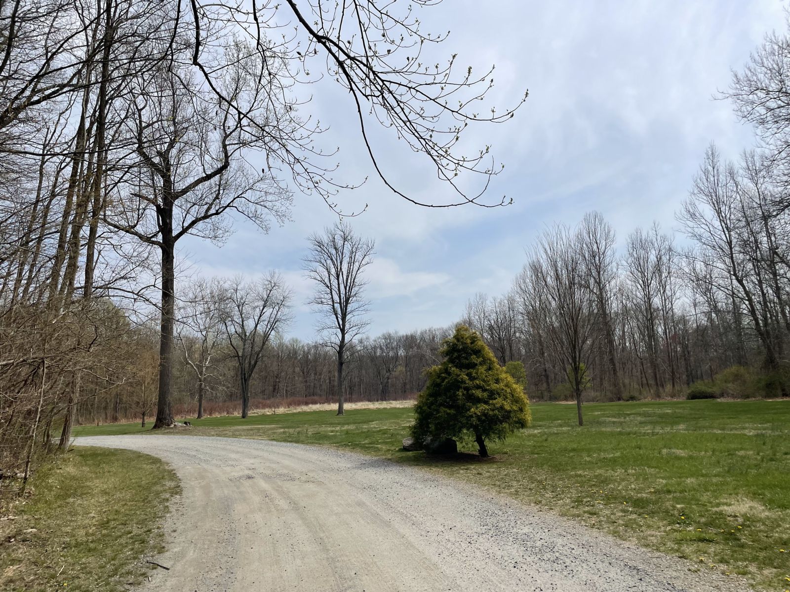 India Brook Park Green Space