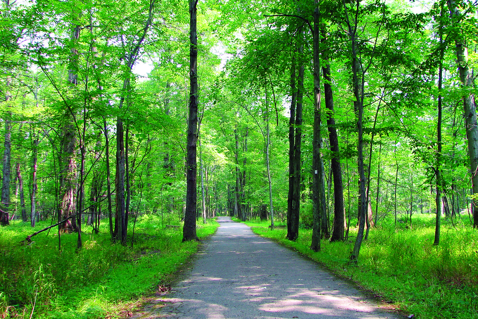 Patriots Path from Morris Country Park Commission