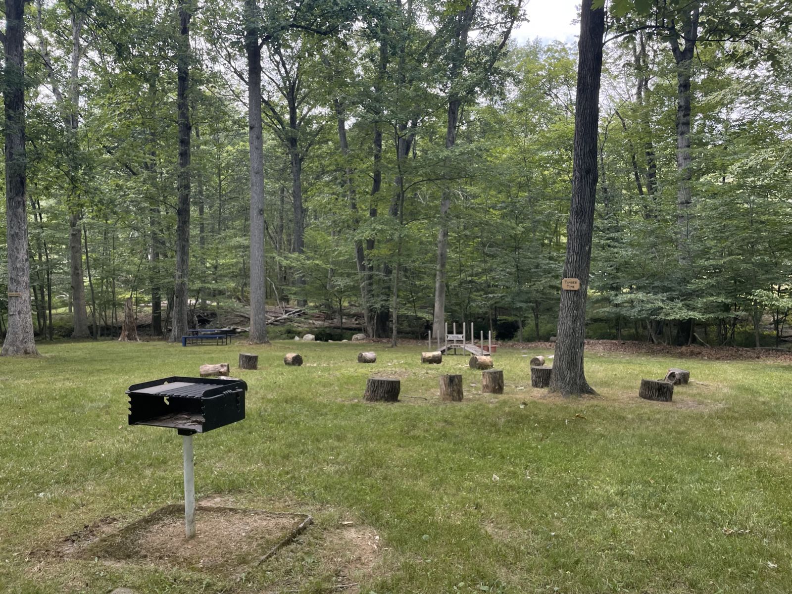 Welcoming Woods Grill Area