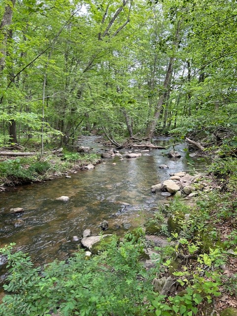 India Brook River